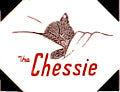 Chesapeake & Ohio #176 Chessie