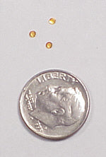 Yellow Jewel - 12/pkg