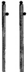 Catalog photograph: Rural Utility Poles   SP-1126